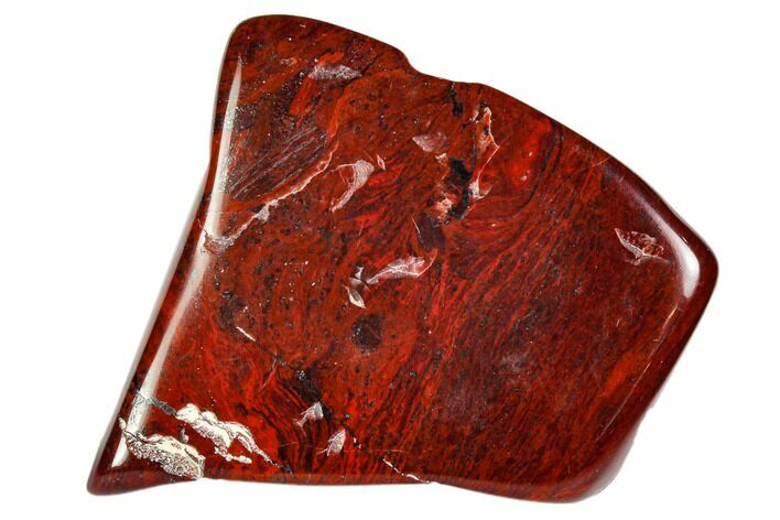 Polished Stromatolite (Collenia) - Minnesota #104415